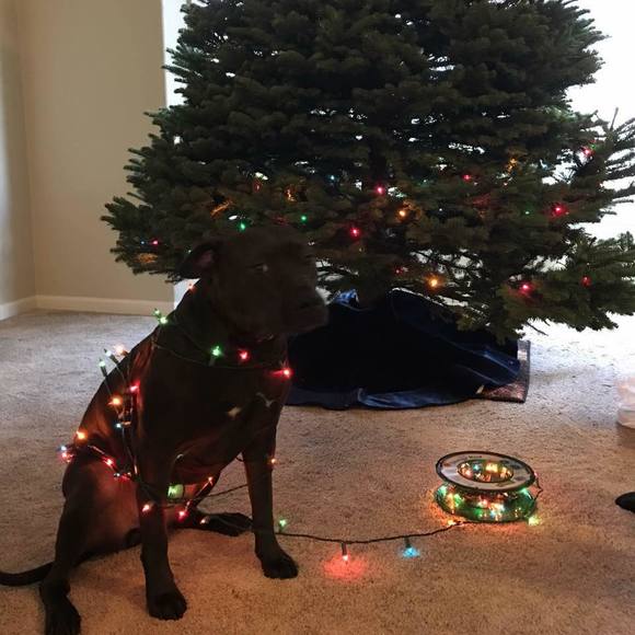 Meet your Posher, Janette - Picture 1 of 1